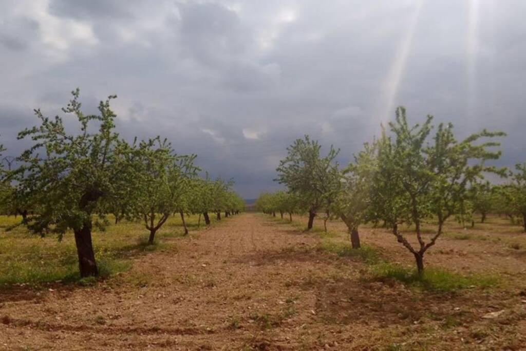 Willa Casa El Carmen Ciudad Real Zewnętrze zdjęcie