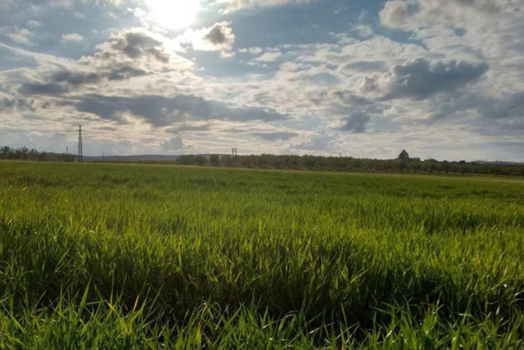 Willa Casa El Carmen Ciudad Real Zewnętrze zdjęcie