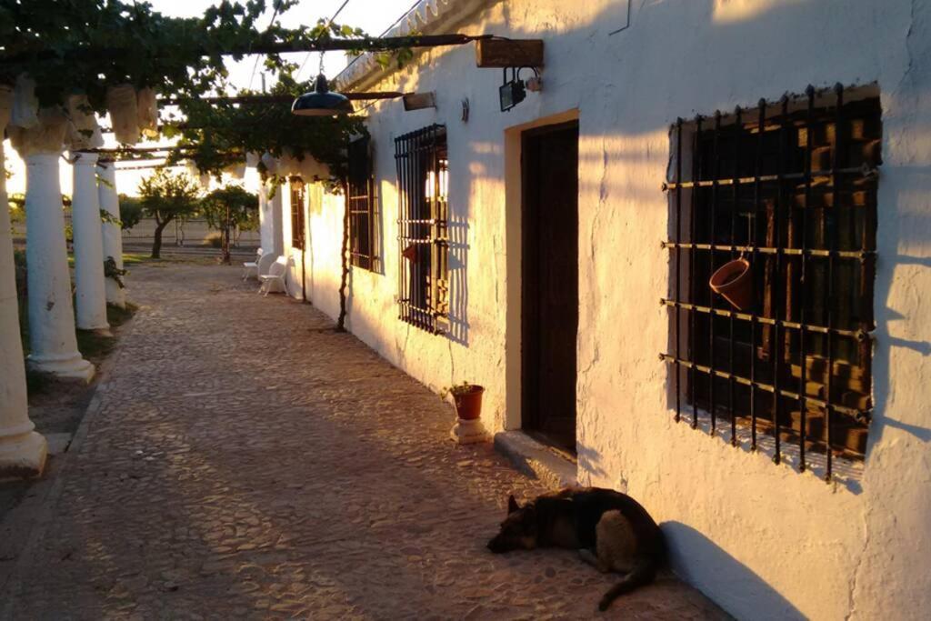 Willa Casa El Carmen Ciudad Real Zewnętrze zdjęcie