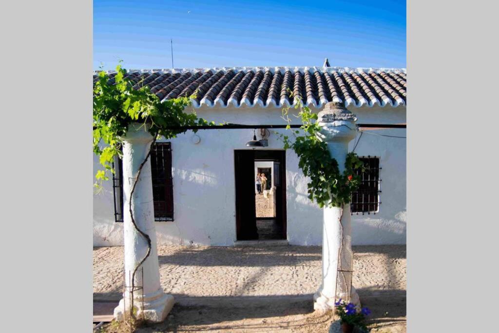 Willa Casa El Carmen Ciudad Real Zewnętrze zdjęcie