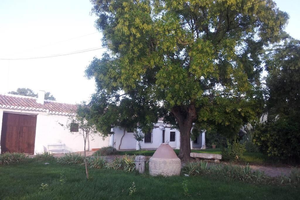 Willa Casa El Carmen Ciudad Real Zewnętrze zdjęcie